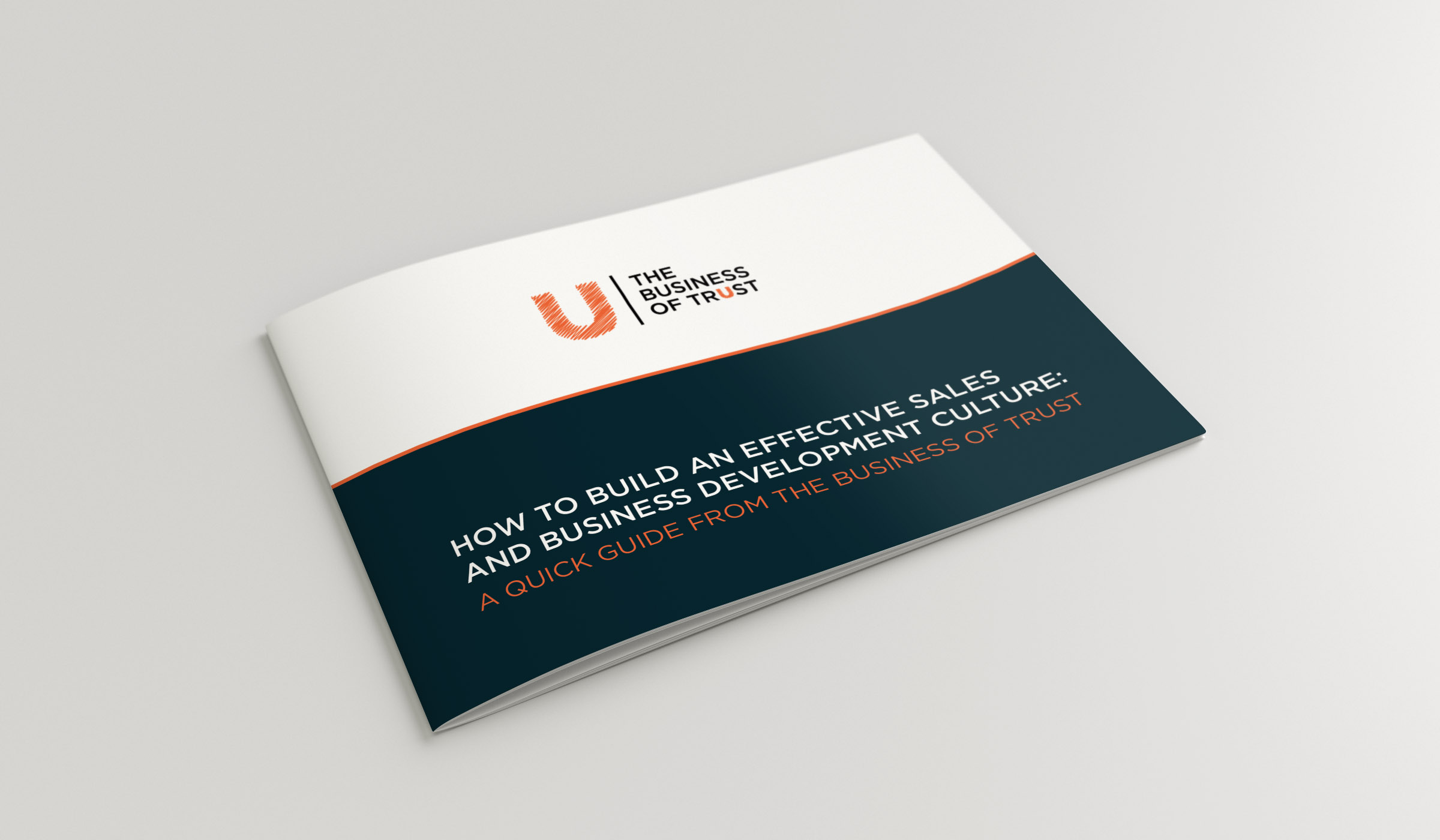 Download Horizontal A5 Brochure mockup | The Business of Trust